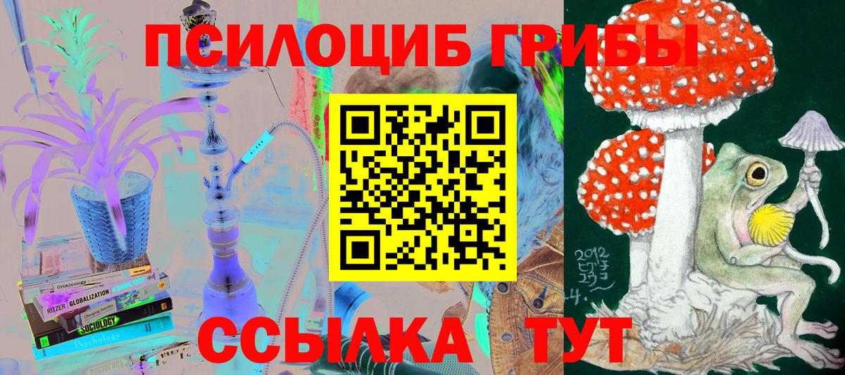 Топки  Псилоцибиновые грибы Psilocybe  Вход с VPN 